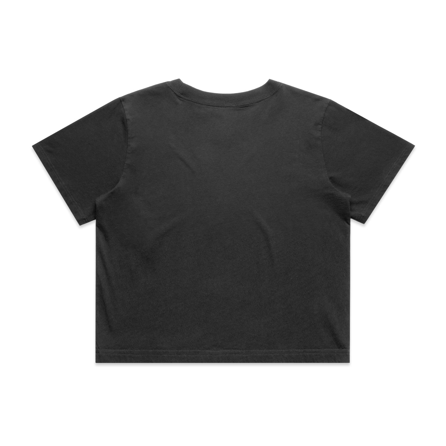 SKULL Heavy Faded Crop Tee